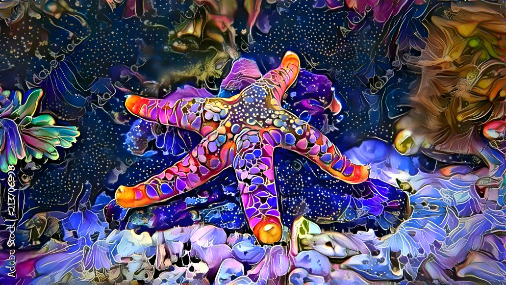 starfish