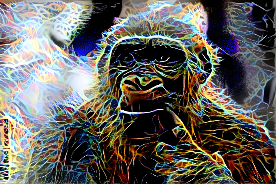 gorilla