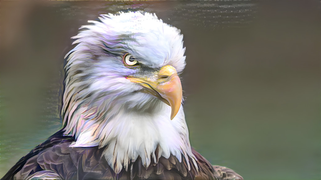 eagle