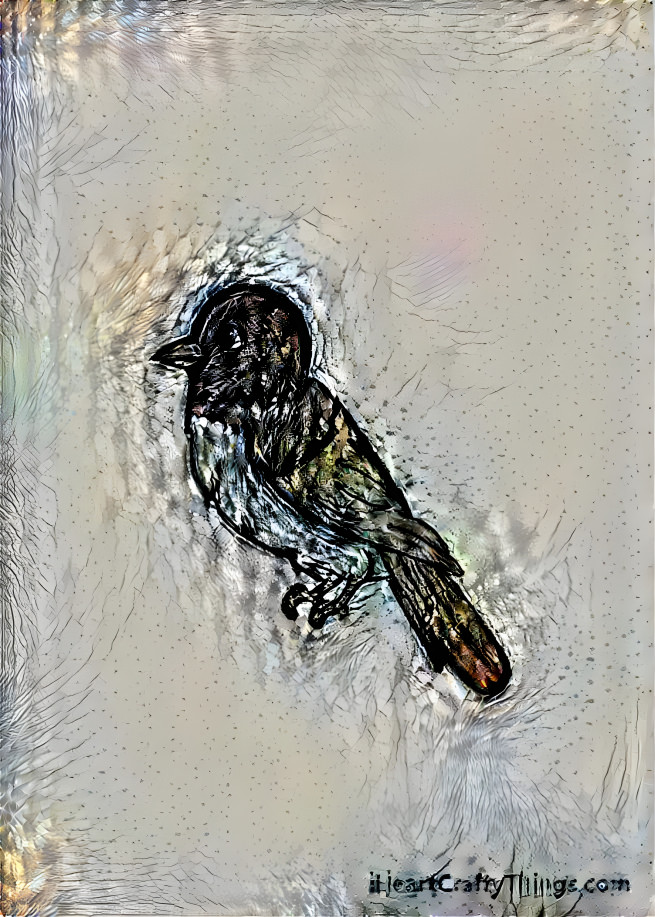 bird