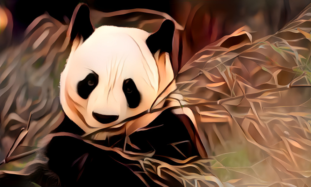 panda