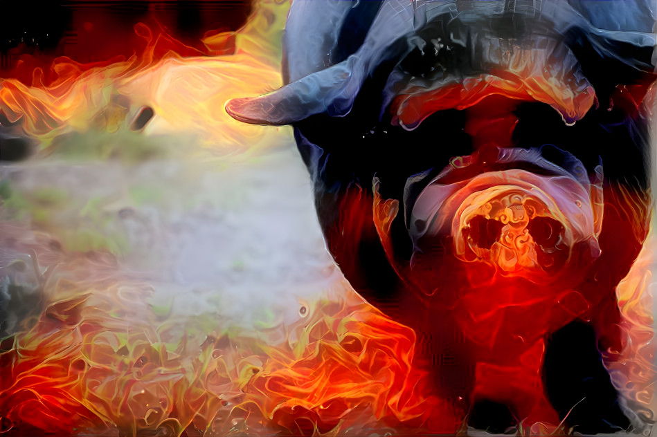 fire pig