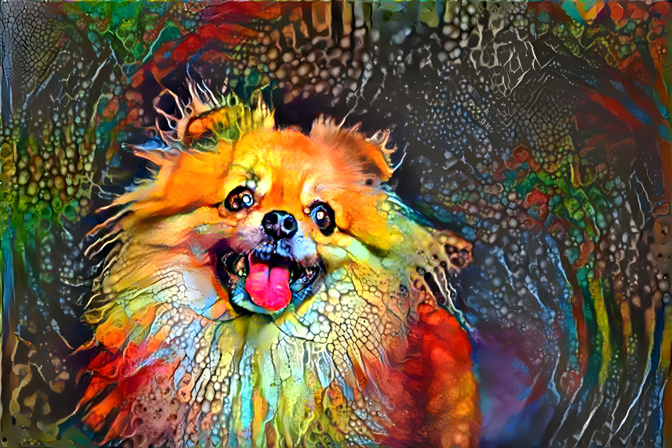 Psychedelic Pomeranian 