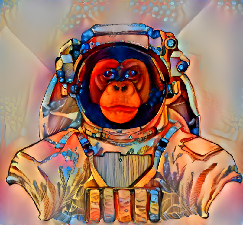 Space Monkey