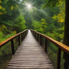 Wooden bridge in lush forest with sunlight filtering through canopy