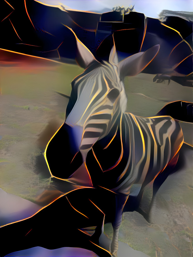 zebra