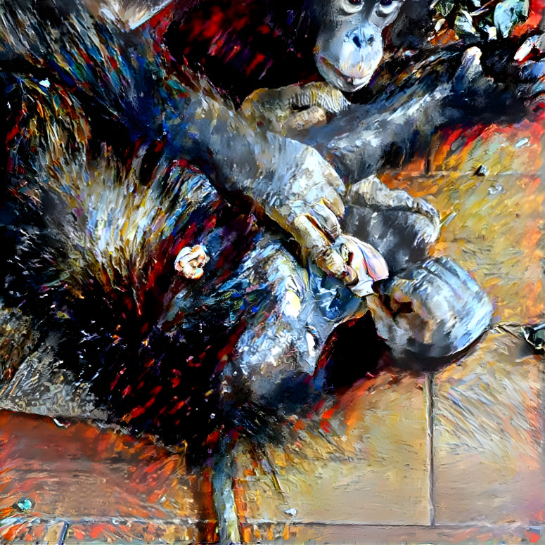 monkey