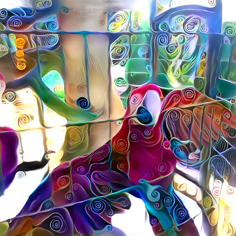 a parrot