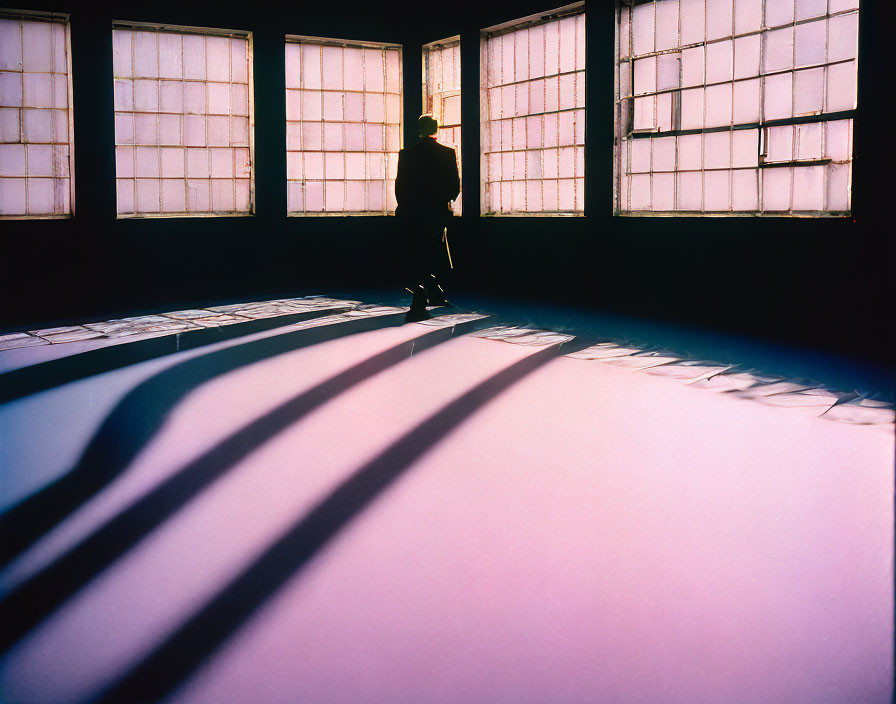 Silhouetted figure in room with purple tinted floor and grid windows.