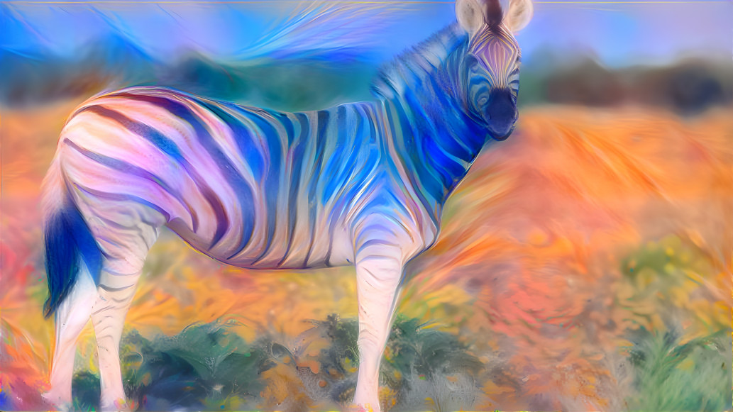 zebra