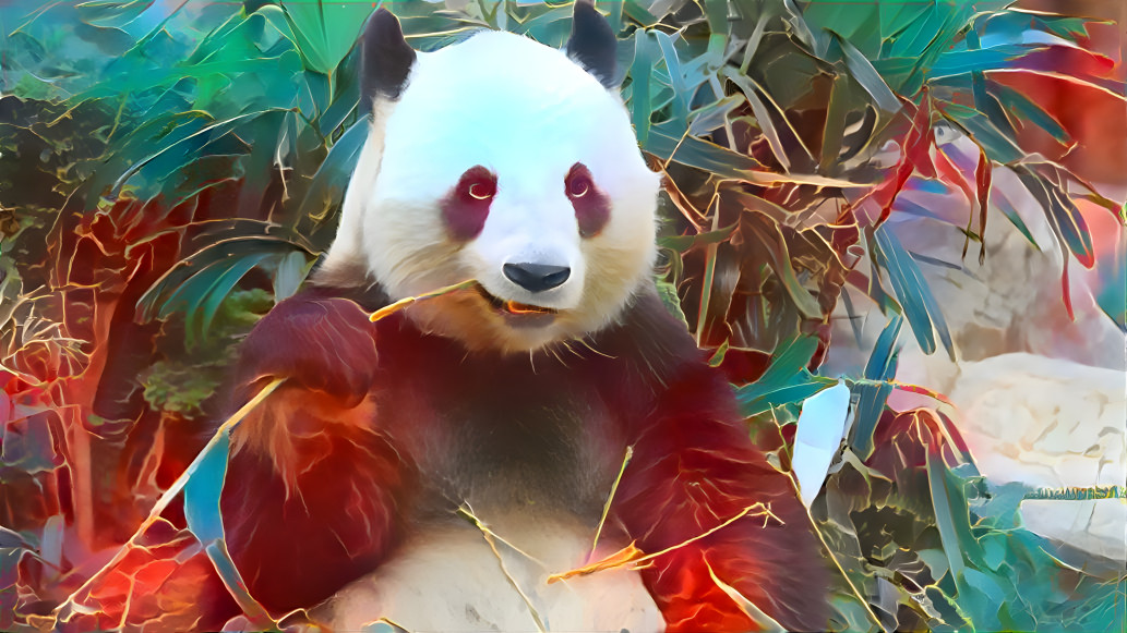 panda