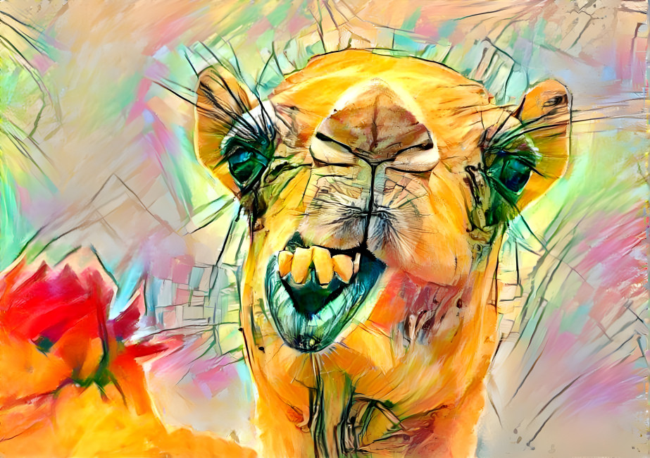 flower camel