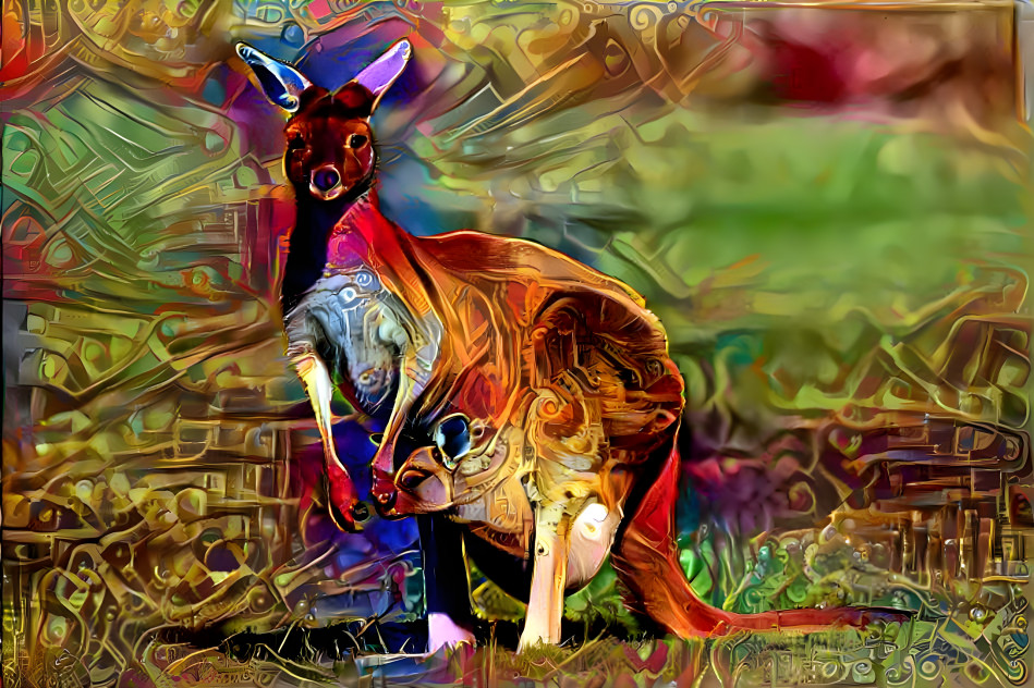 kangaroo