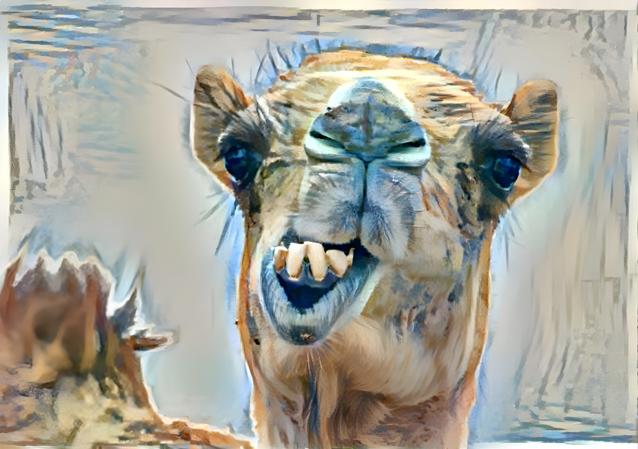 blur camel