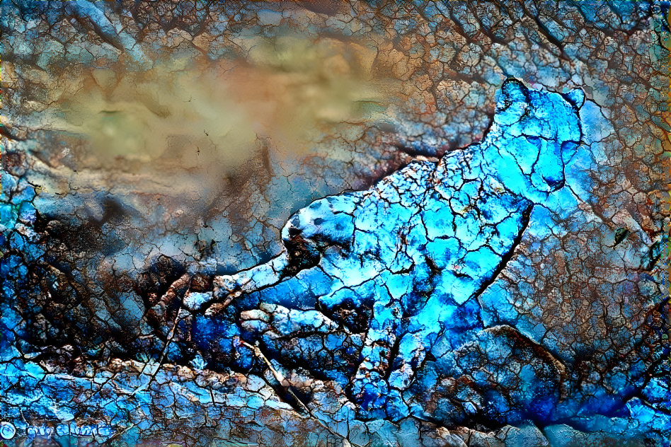 blue cheetah