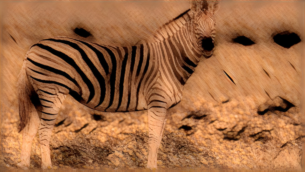 zebra