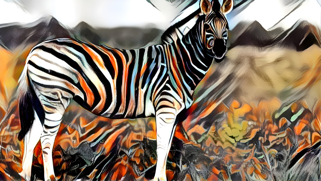 zebra