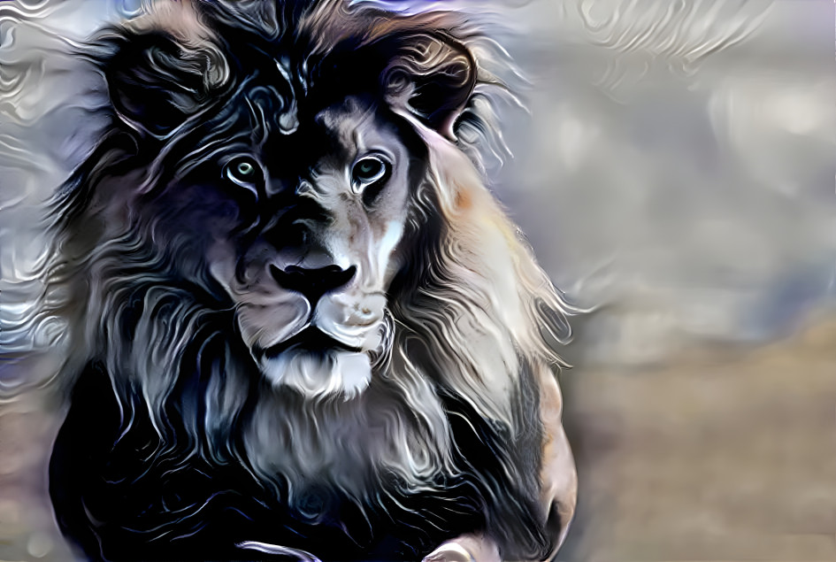 lion