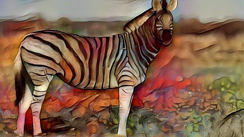 zebra