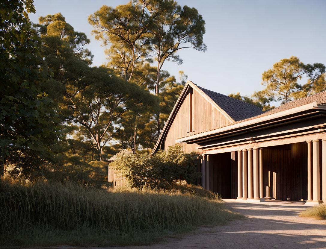 Wooden building with slanted roof in pine tree forest under warm sunlight