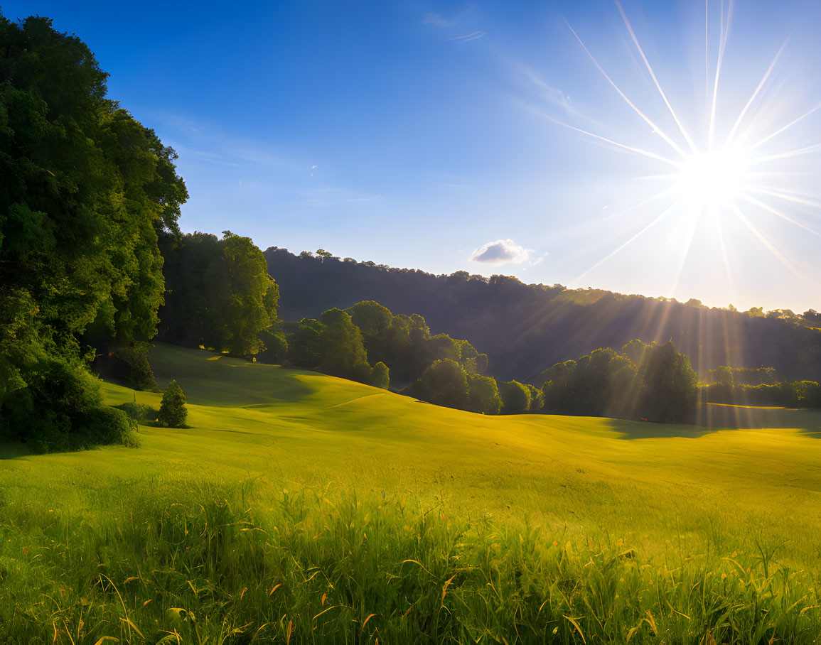 Scenic Sunrise over Green Meadow and Rolling Hills