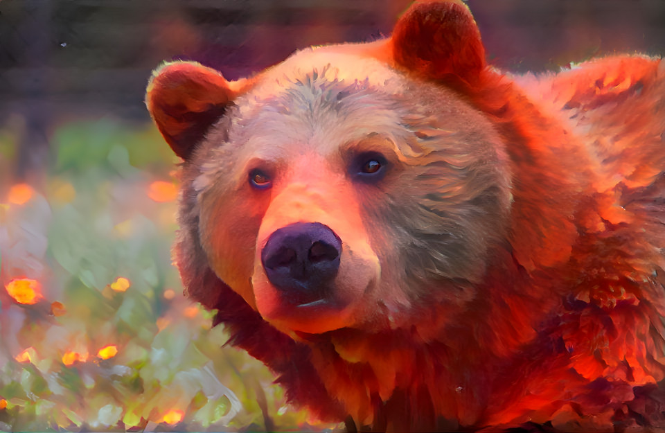 Bear