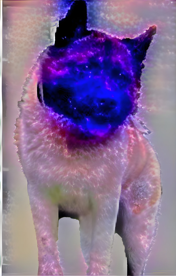 Galaxy dog