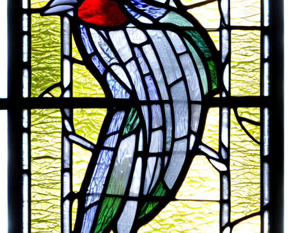 Colorful Bird Stained Glass Window with Red Detail on Yellow-Green Background