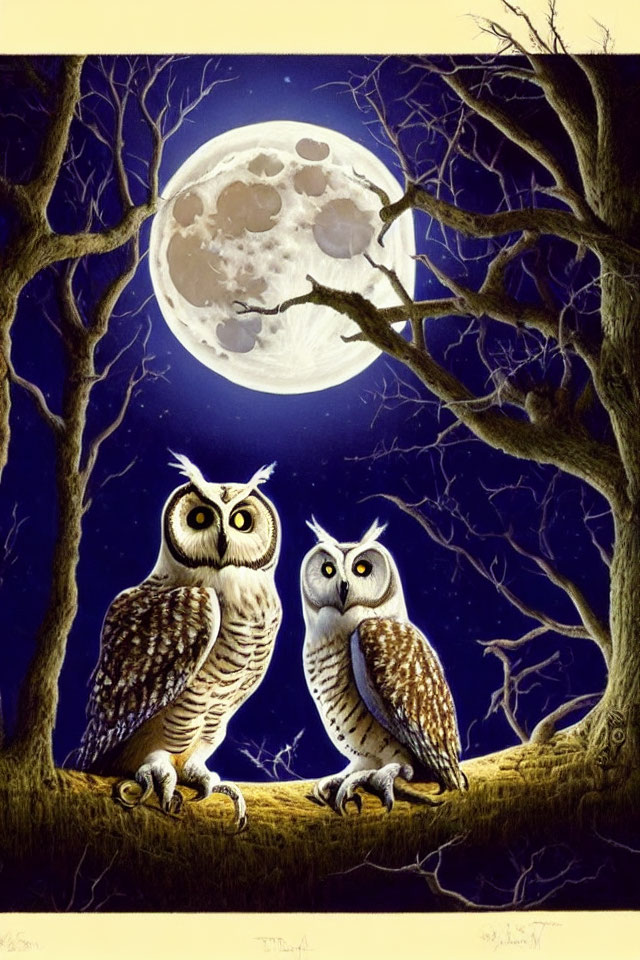 Nocturnal scene: two owls on branch under full moon