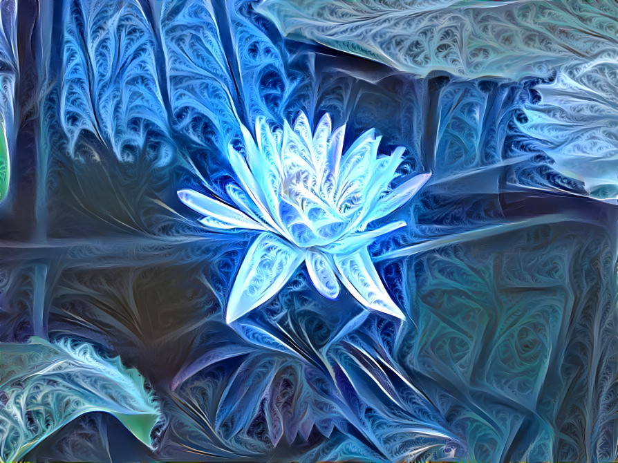 Frozen lily