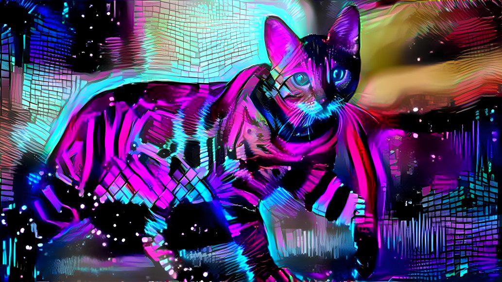 Bengalcat