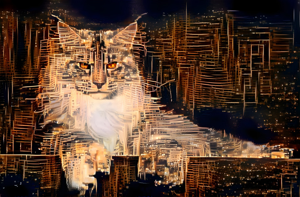 Cat City