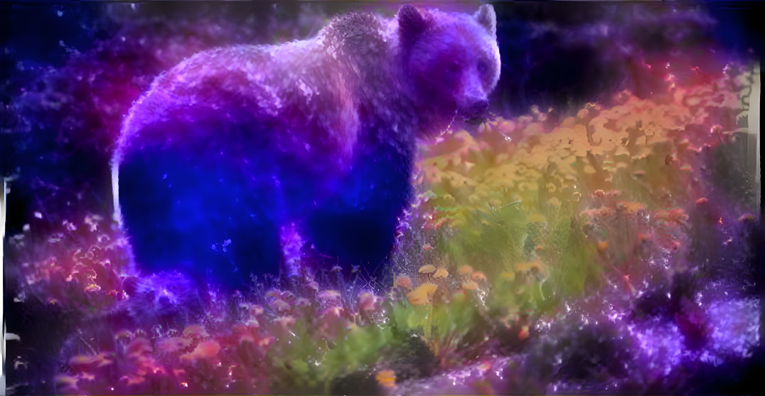 Space bear