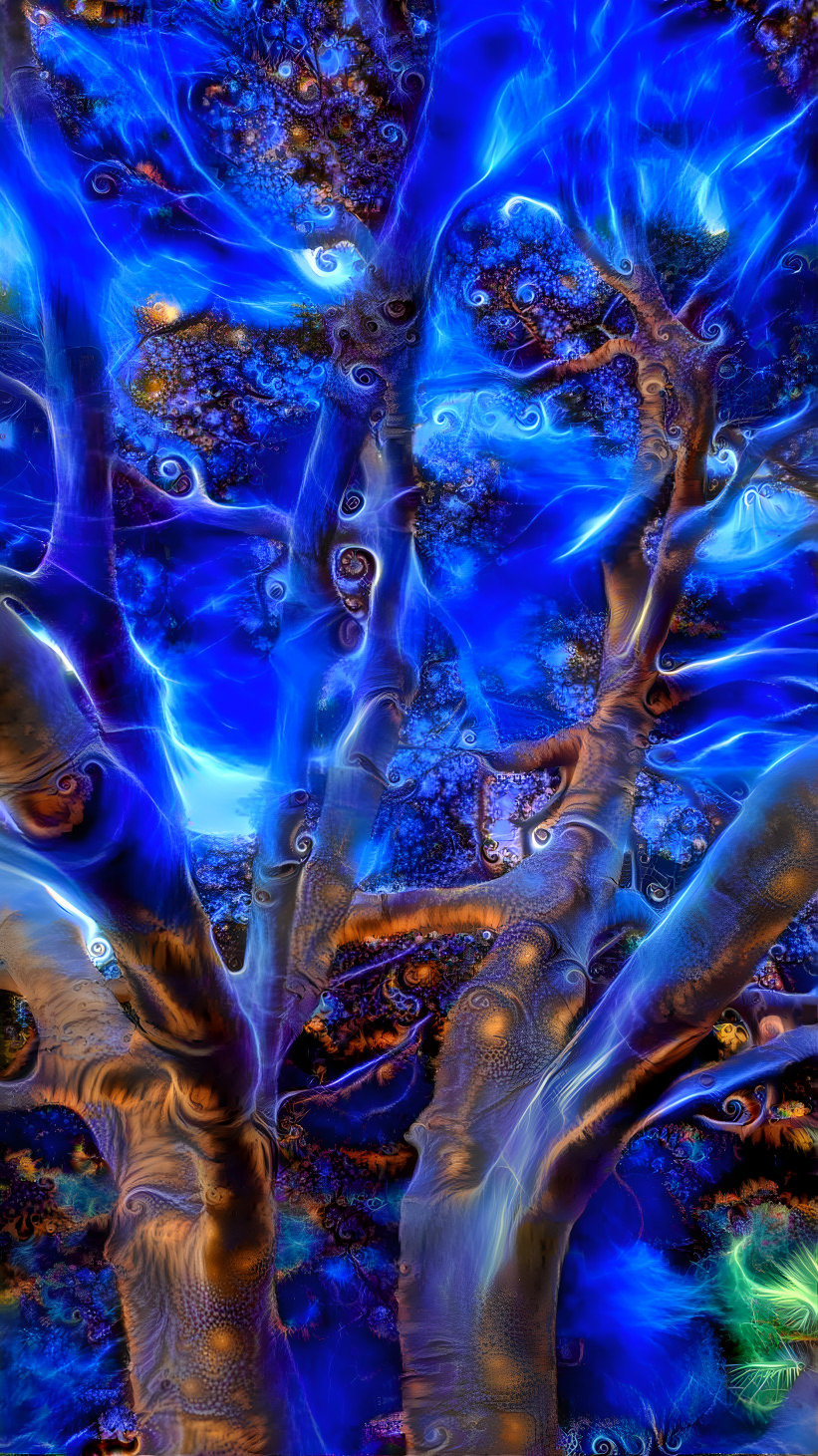 Dreaming Tree at Night