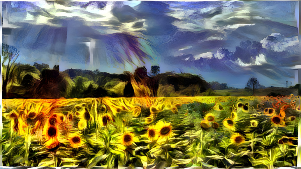 Sunflower field