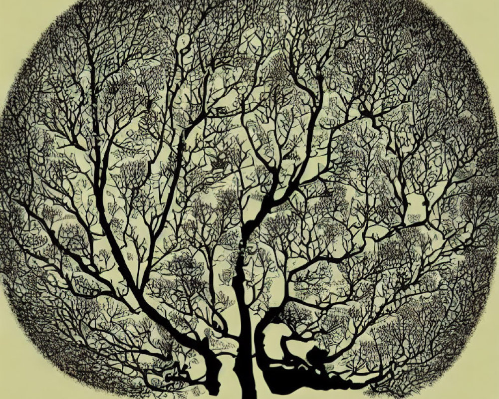 Circular black tree silhouette on yellow background symbolizing moon or life cycle