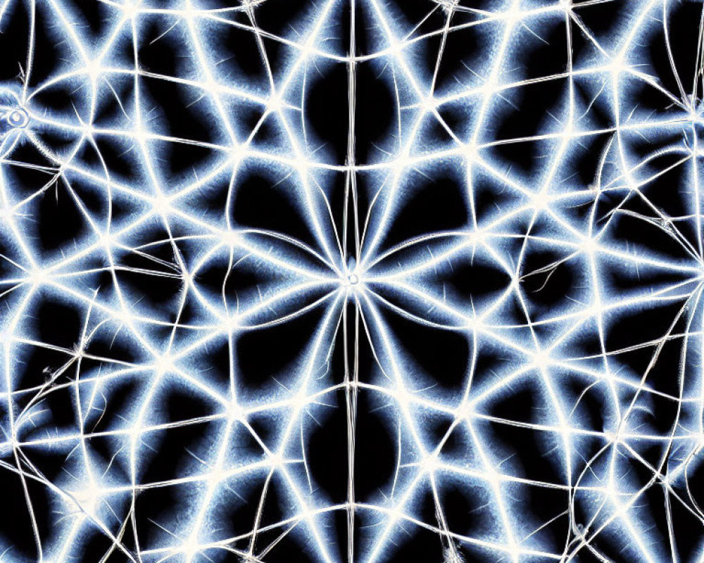 Symmetrical Blue Glowing Lines on Black Background