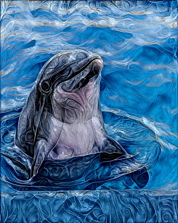 dolphin smile in water