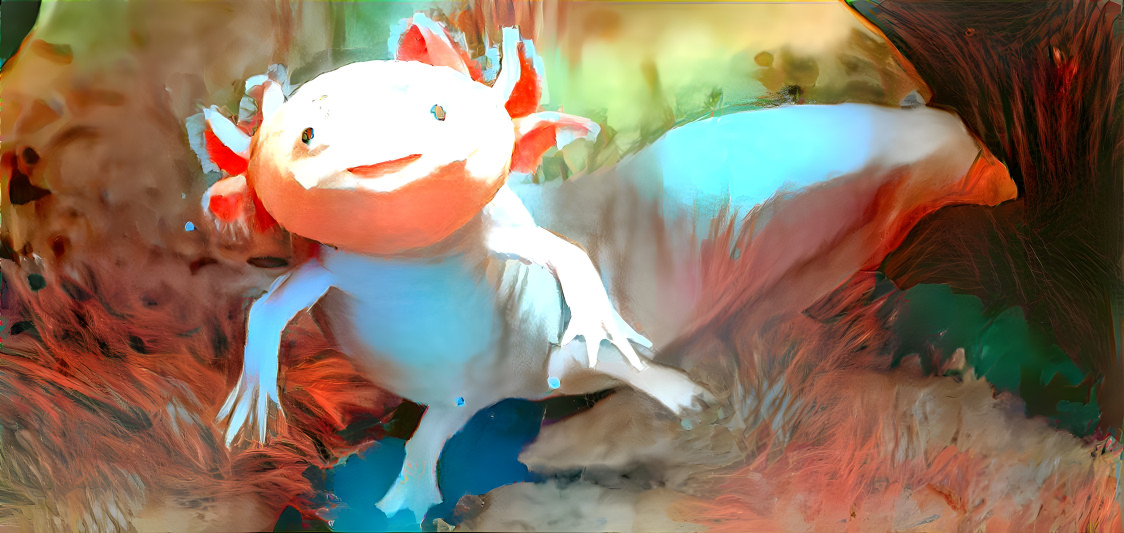 Axolotl