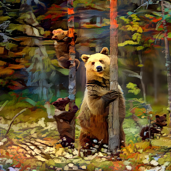 Forest bears