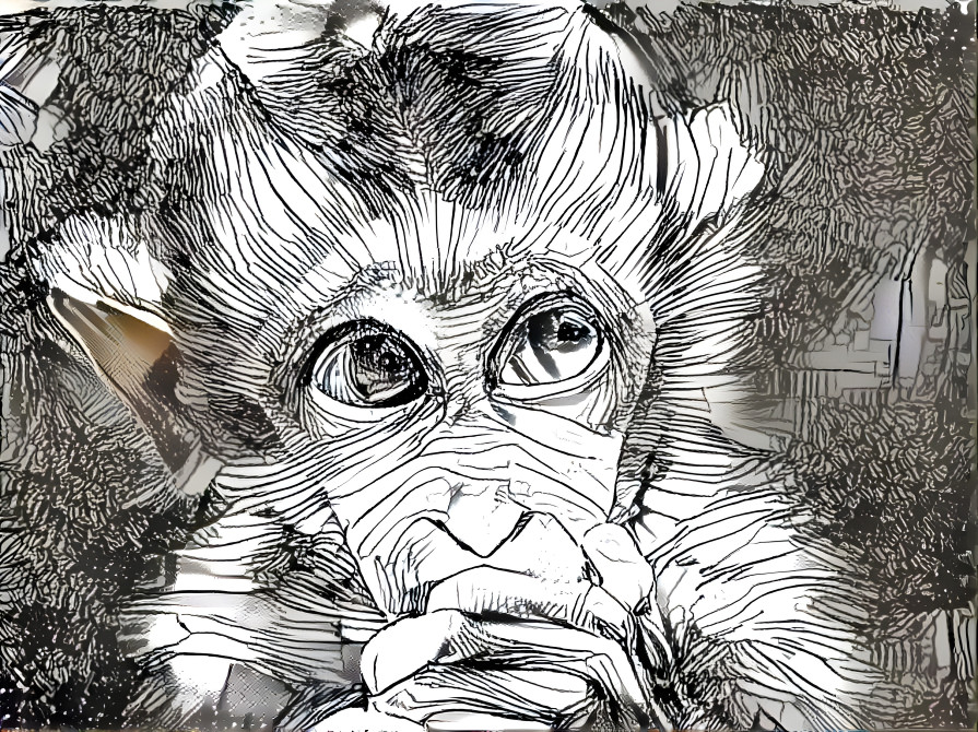 Line Art Monkey