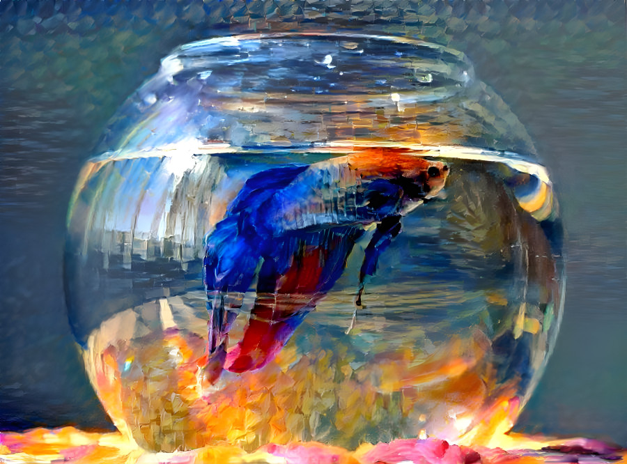 Betta Fish Bowl