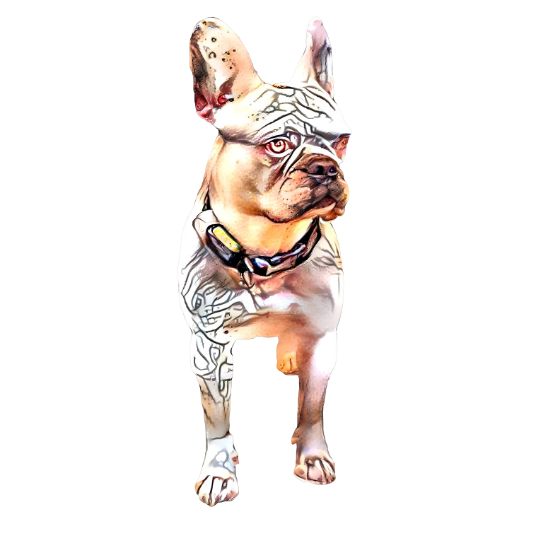 bulldogge 