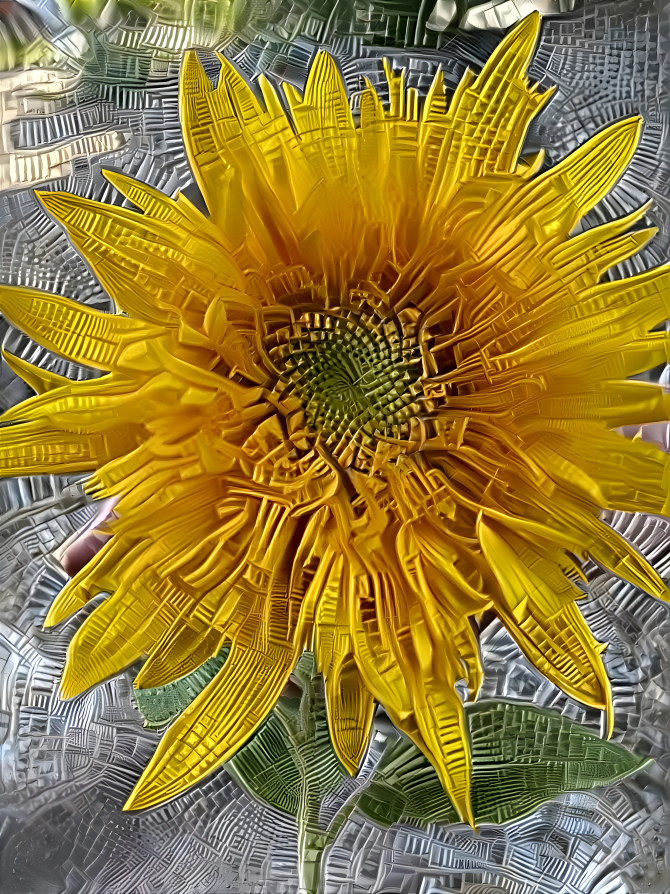 Sunflower 3