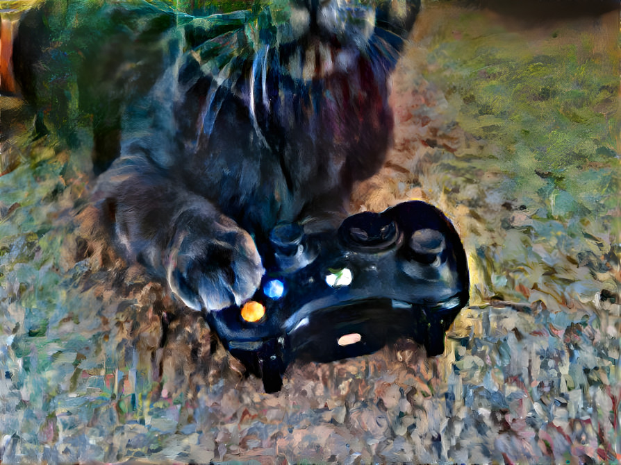 Gamer