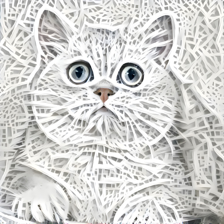 white cat