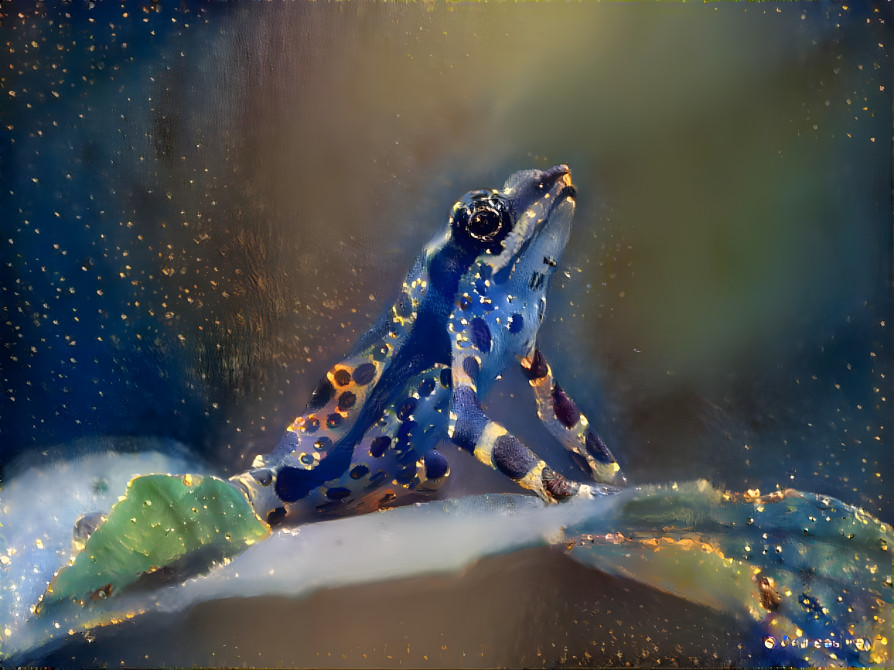 Galaxy Frog