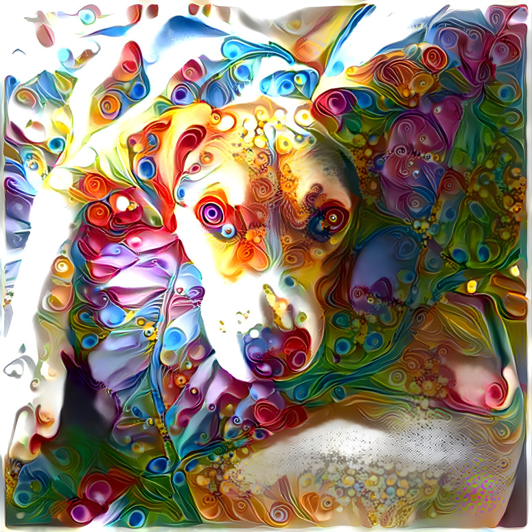 Swirl Dog