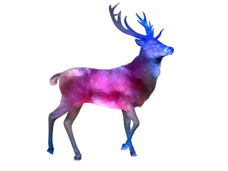 galaxy deer