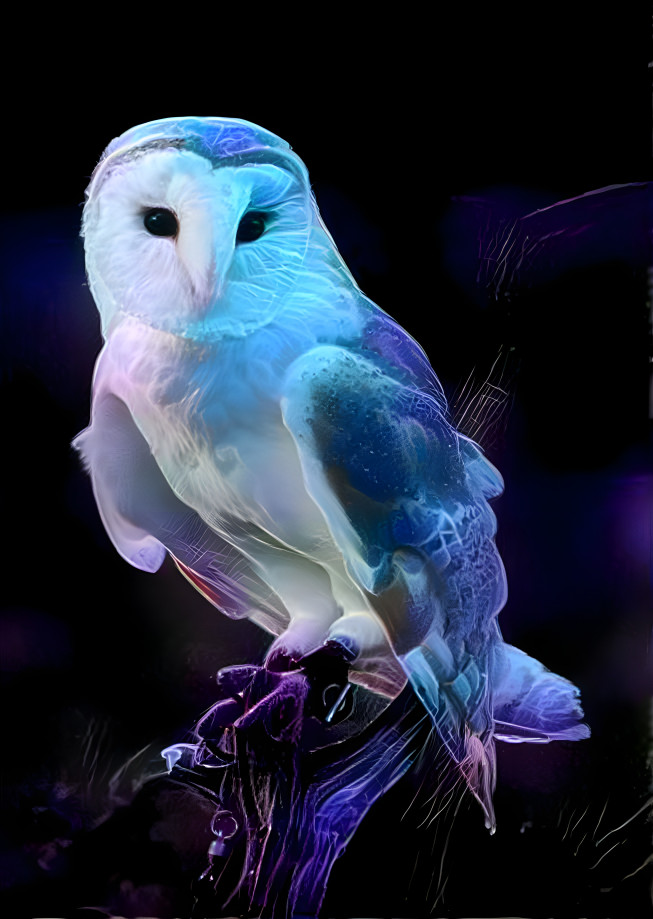 Glowing Owl 